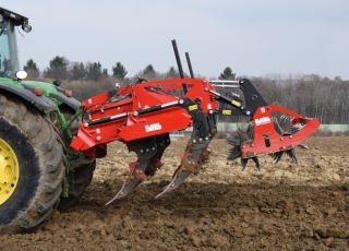 Talon Medium 300