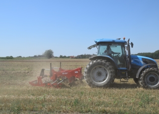 Talon Medium 250